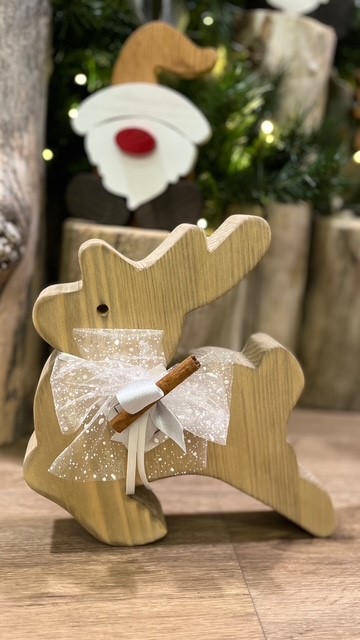 Renna salterina - immagine 4